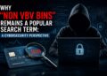 non vbv bins