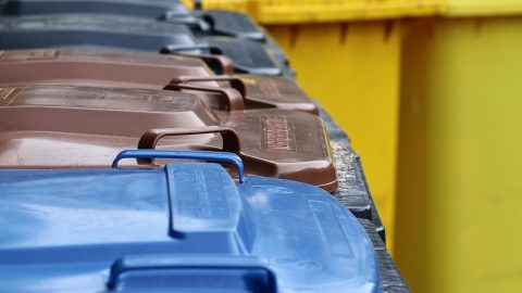 Top 5 Working BINs and Cashout Methods for 2026