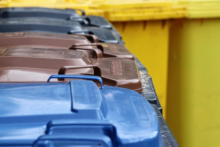 Top 5 Working BINs and Cashout Methods for 2026